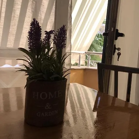 Bed & Breakfast 53 *